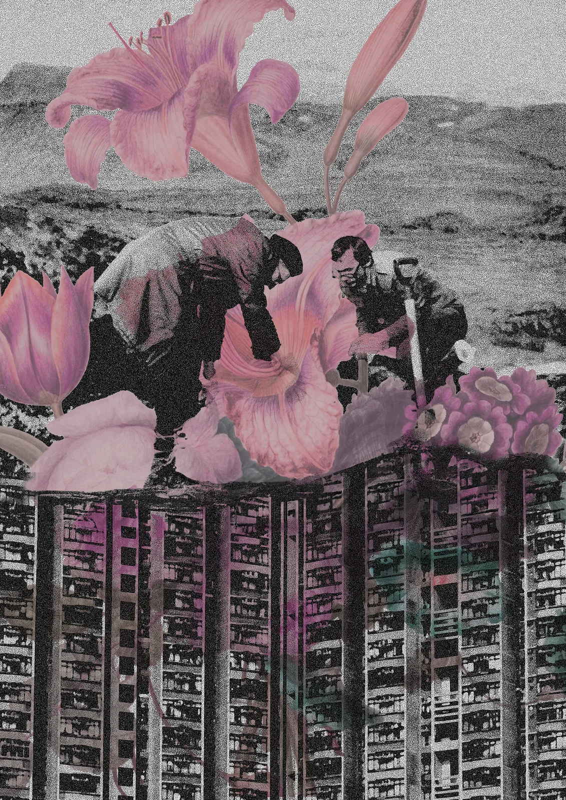 Colagem — dois homens, flores e prédios