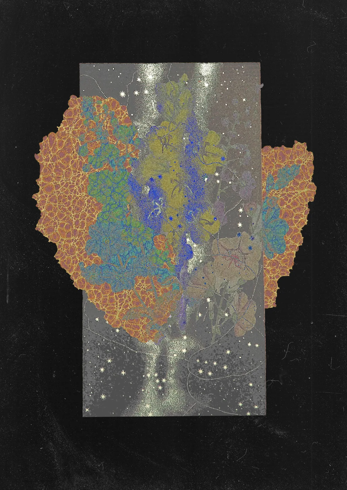Colagem — flores e estrelas sobre fundo preto
